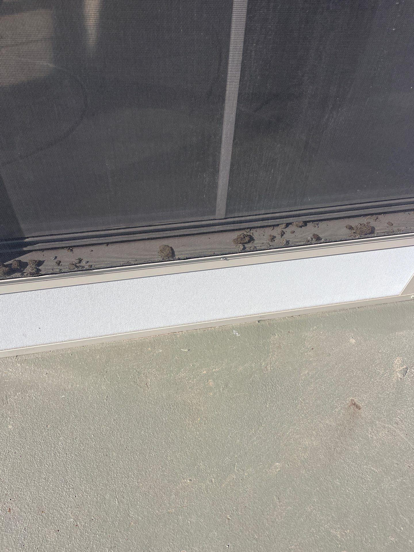 Pests & Rodents