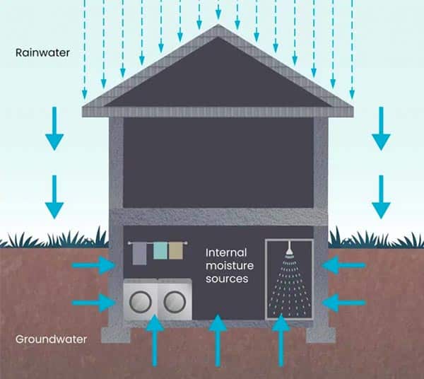 Early warning signs of basement flooding on a Midwest home
