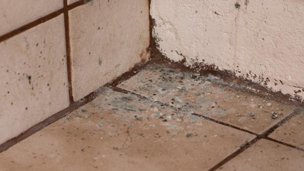 Underlying cause of wet basement walls in Midwest homes