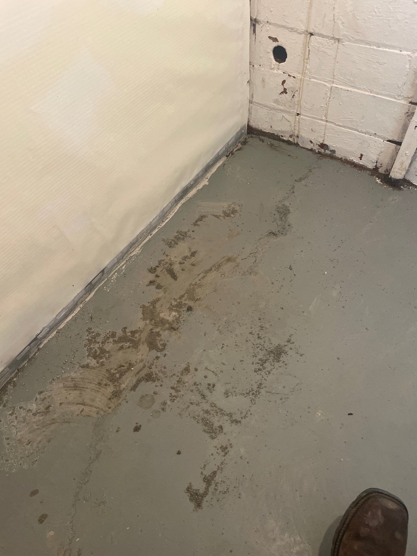 Early warning signs of efflorescence on a Midwest home