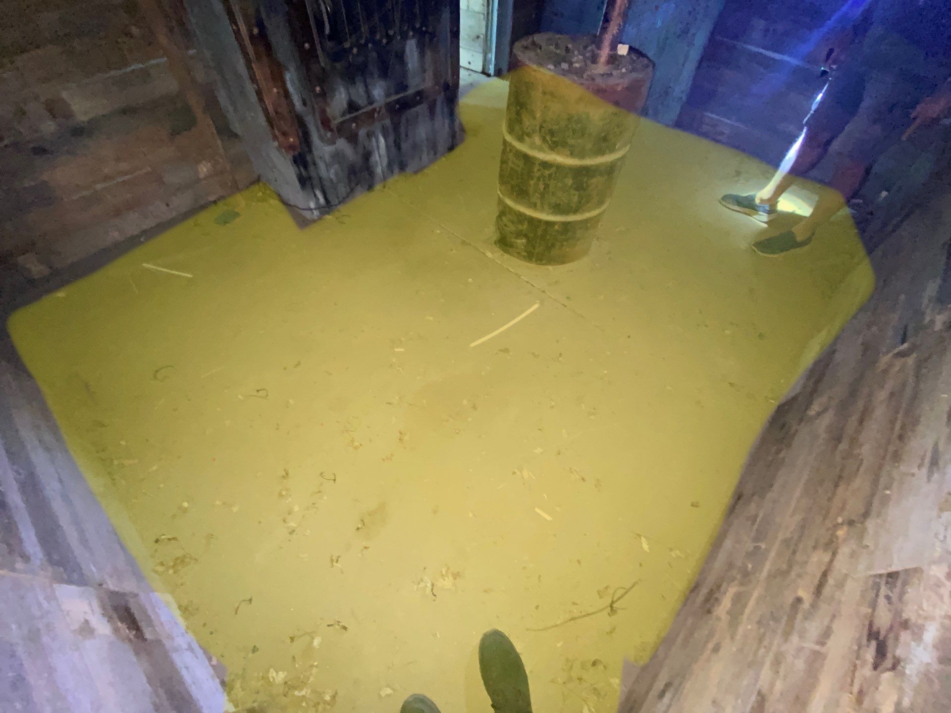 Early warning signs of standing water on a Midwest home