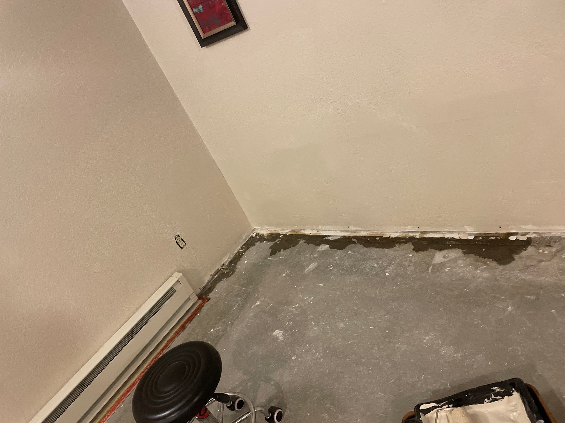 Wet basement walls or efflorescence.